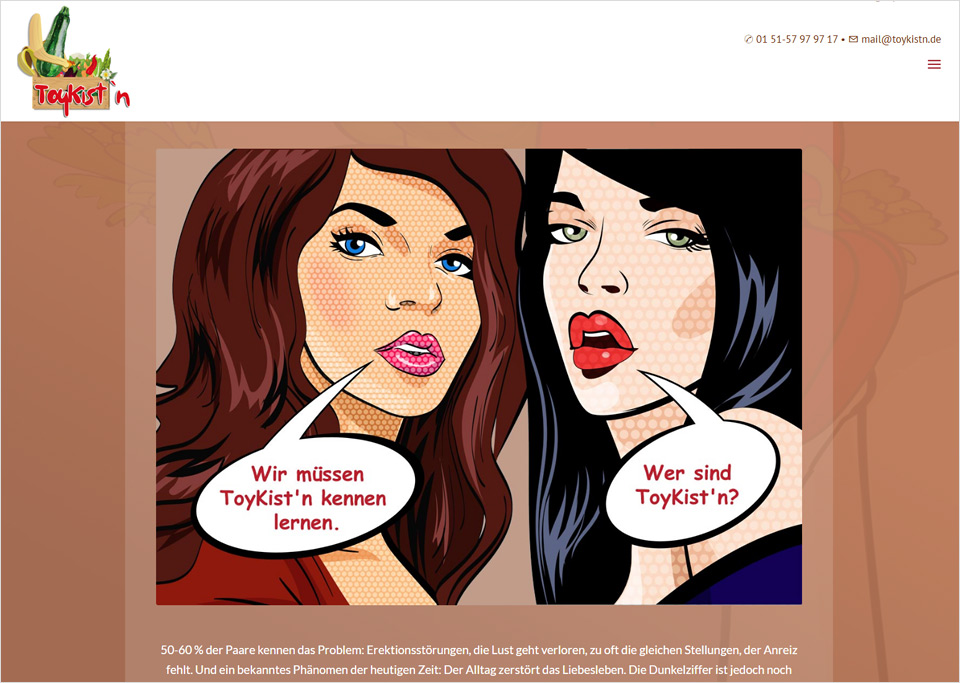 Homepage-Erstellung für ToyKist’n, 90547 Stein